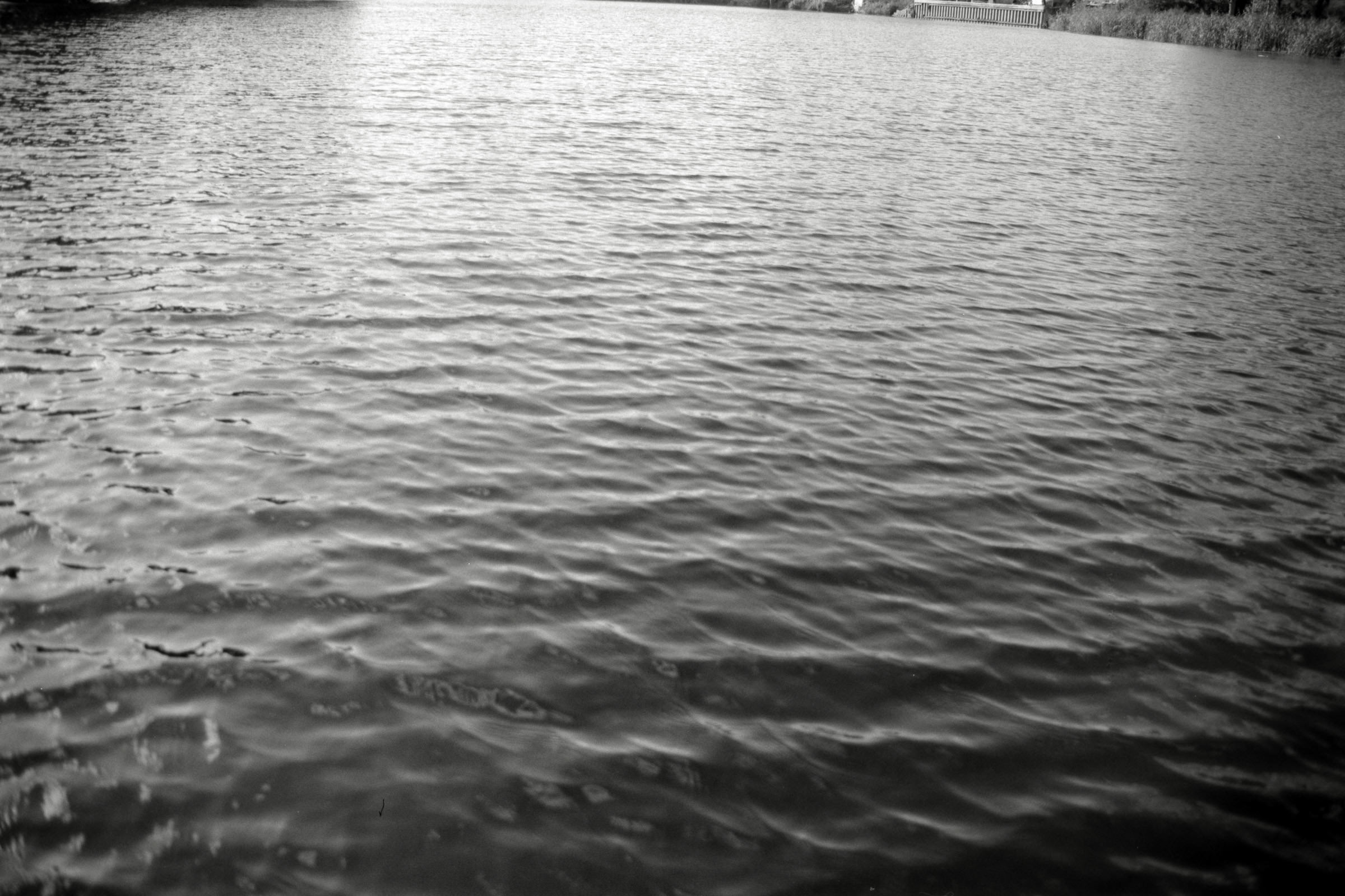 AHP F1990 09 007 sc250506 img28 NLP